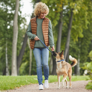 Keeping Up With Your Dog