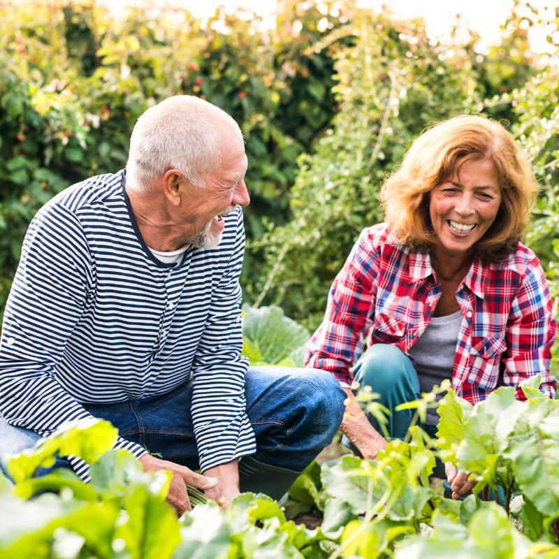 Gardening All Season